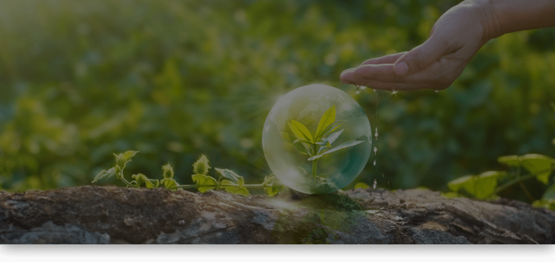 Textile processing & water